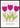 Amsterdam Tulip Poster