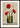 Poesia Botanica poster