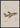 Browny Fly Poster