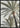 Tropische palmboom poster