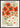 Bloemenmarkt Madrid Poster