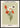 Flower Dream Oslo Poster