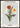 Bloemenmarkt Porto Poster