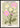 Bloemenmarkt Rome Poster