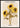 Bloemenmarkt Parijs Poster