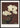 Hardaceous Peony Poster