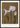 Iris Giant Feri Bloemen Poster
