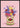 Rose Brand Bloemen Poster