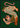Asian Tiger Green Poster