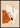 Geometrische vormen in aardse kleuren poster