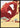 See America reisposter