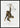 Chimpansee illustratie poster