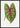 Groene Caladium Chantini Blad Poster