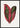 Roze Dracaena Terminalis Poster