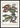 Poster Exotische vissen van J V Schley