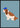 Cocker Spaniel met pet poster
