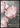 Roze Pioenrozen Poster