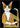 All Ok cat poster