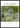 Van Gogh: Lenterivier Poster