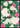 Rozen en lotussen met weelderige groene bladeren poster