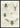 Sketches Of Beetles And Insects Poster