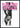 Reijer Stolk anatomische studieposter