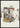 Natural Collage poster
