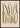 Bonen - Dwerg Frans, Nier, of Snap poster
