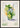 Classic Cocktails Mojito Poster