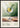 Classic Cocktails Gin and Tonic poster