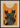 Black Cat Magic Poster