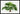 Livistona Chinensis palmboom poster