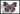 Butterfly Beauty Poster