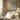 Culinaire wortels van Album Benary poster