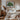 Livistona Chinensis palmboom poster