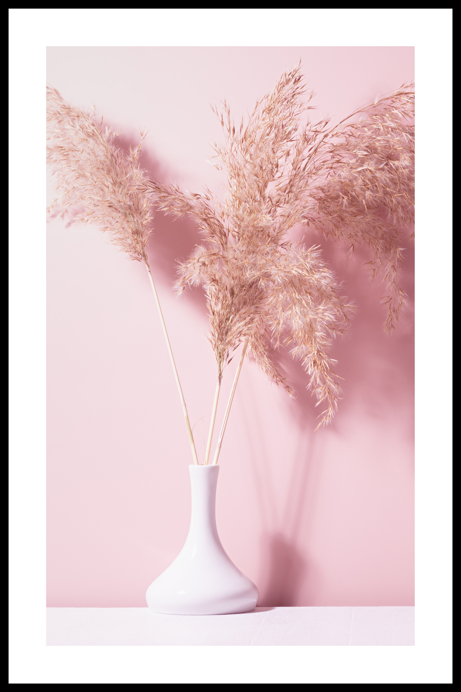 Roze Pampas-poster