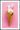 Marshmallow-ijs poster