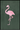 flamingo donkere poster