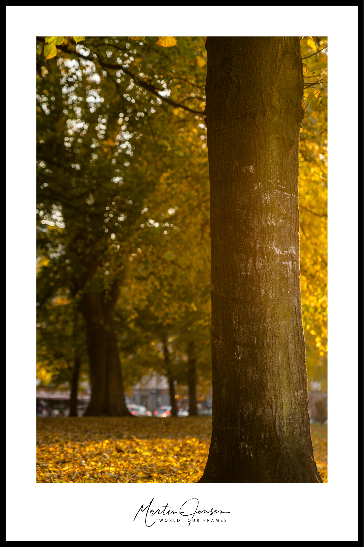 Martin Jensen wereldtour poster // Herfst in Kopenhagen