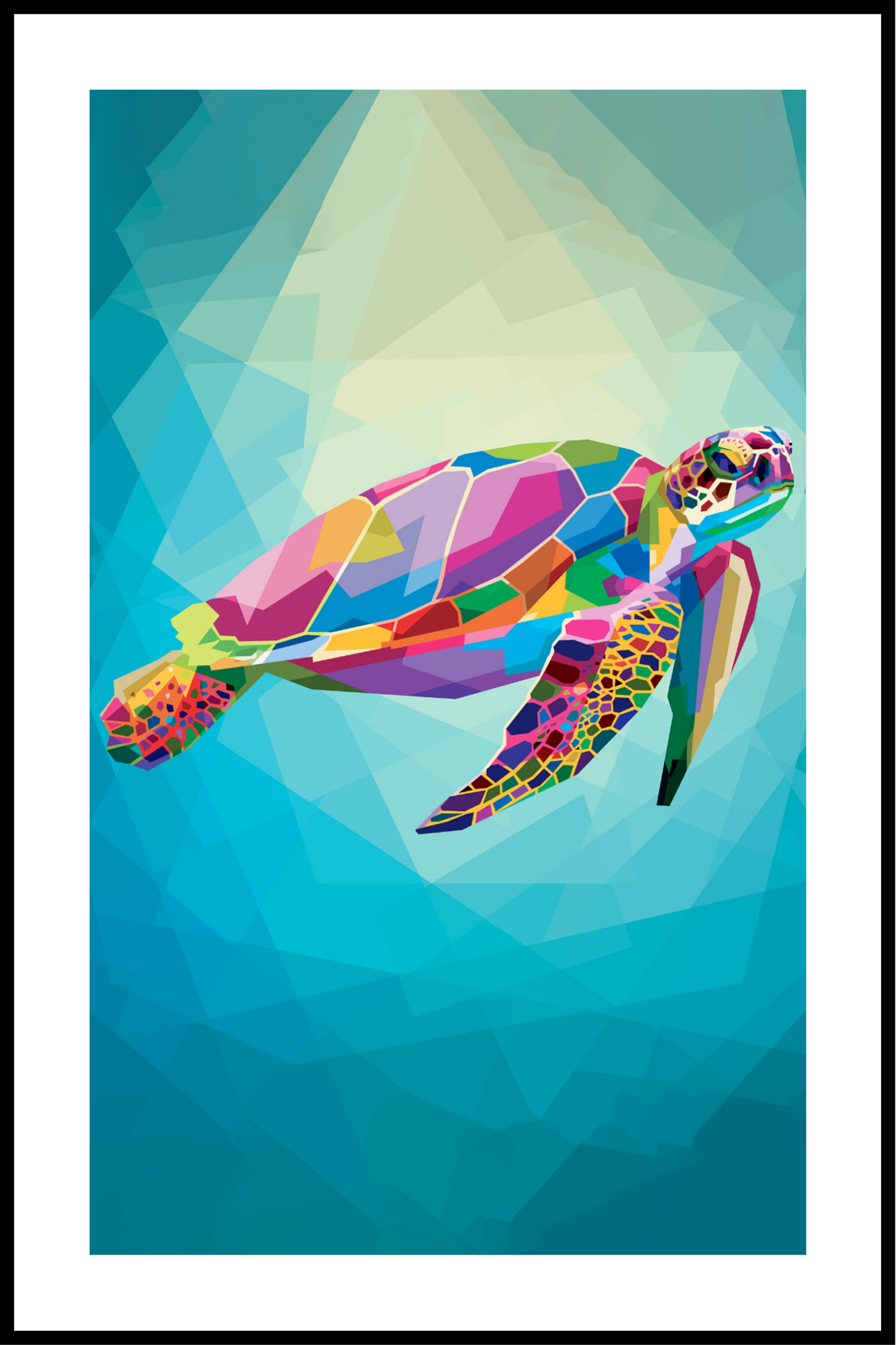 Schildpad poster