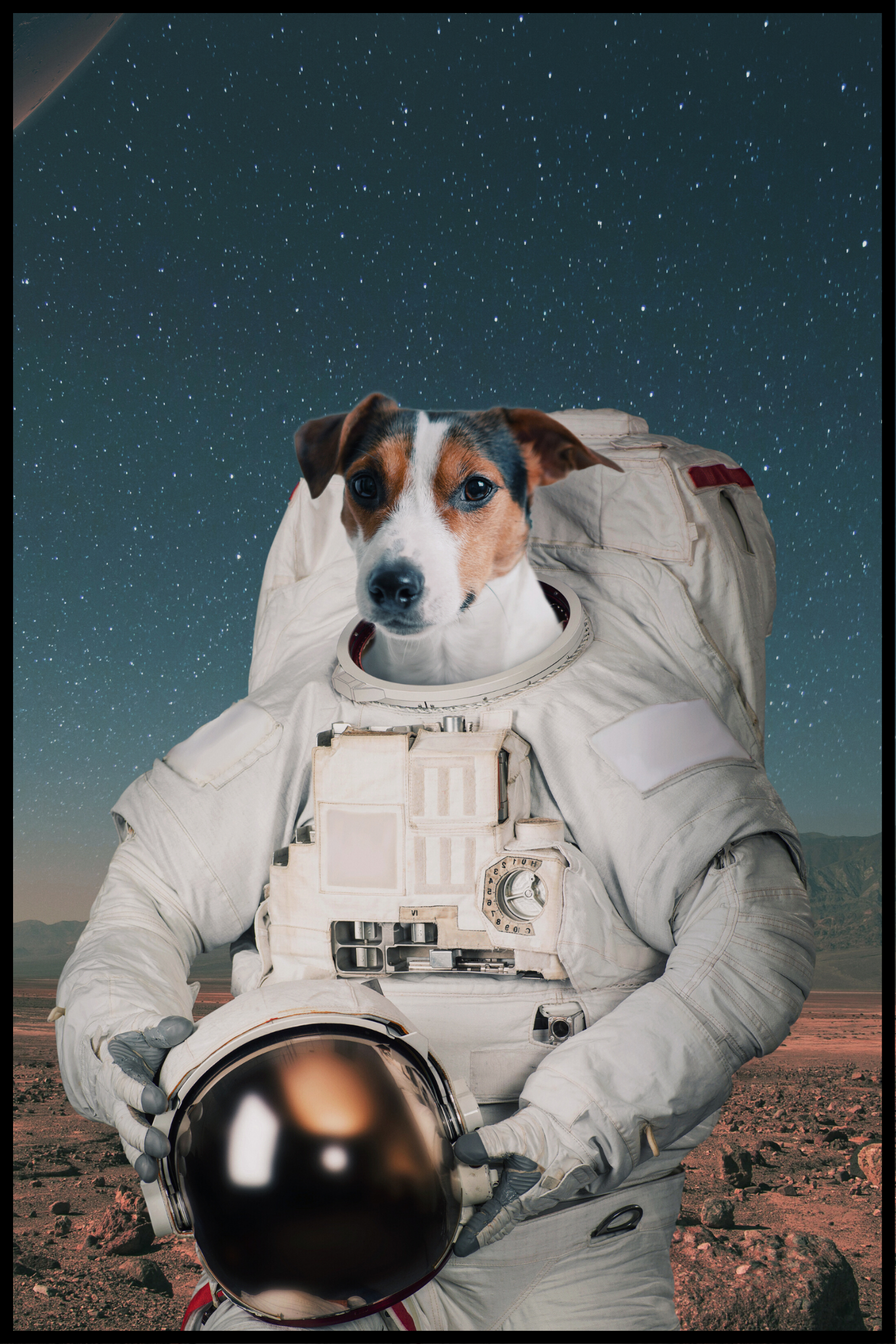 Astronaut Hond poster