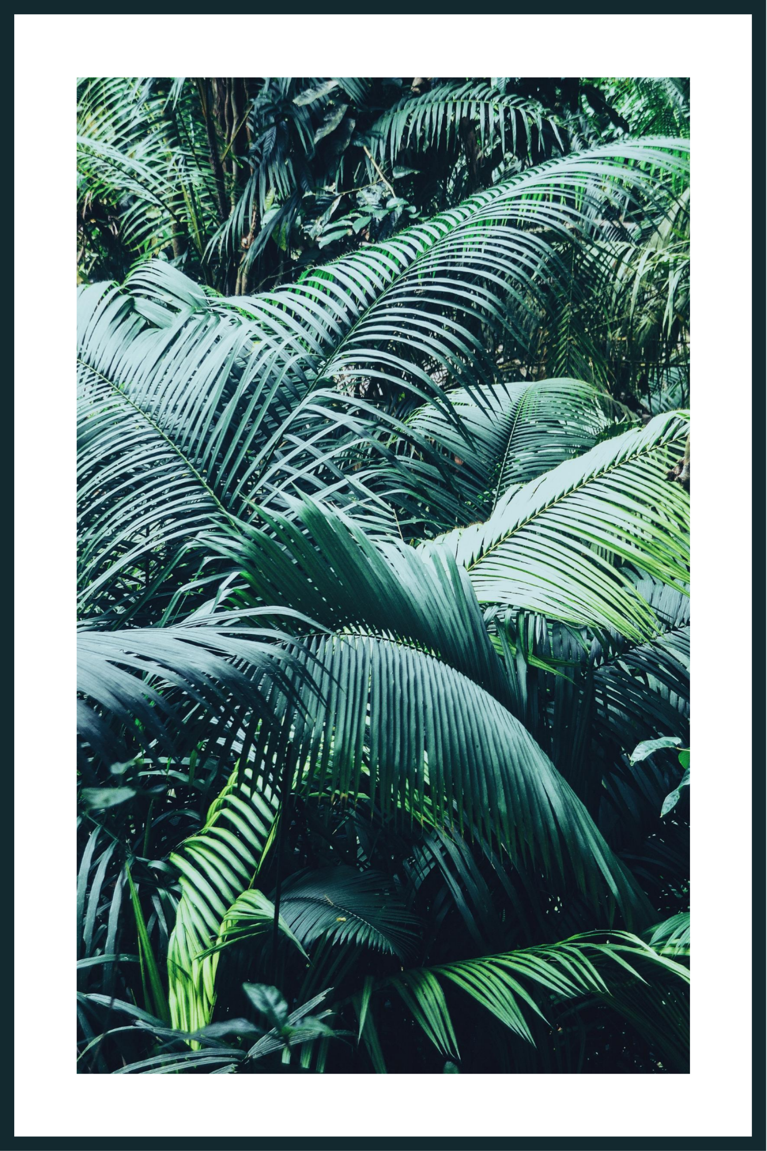 Jungleposter