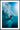 De surfer