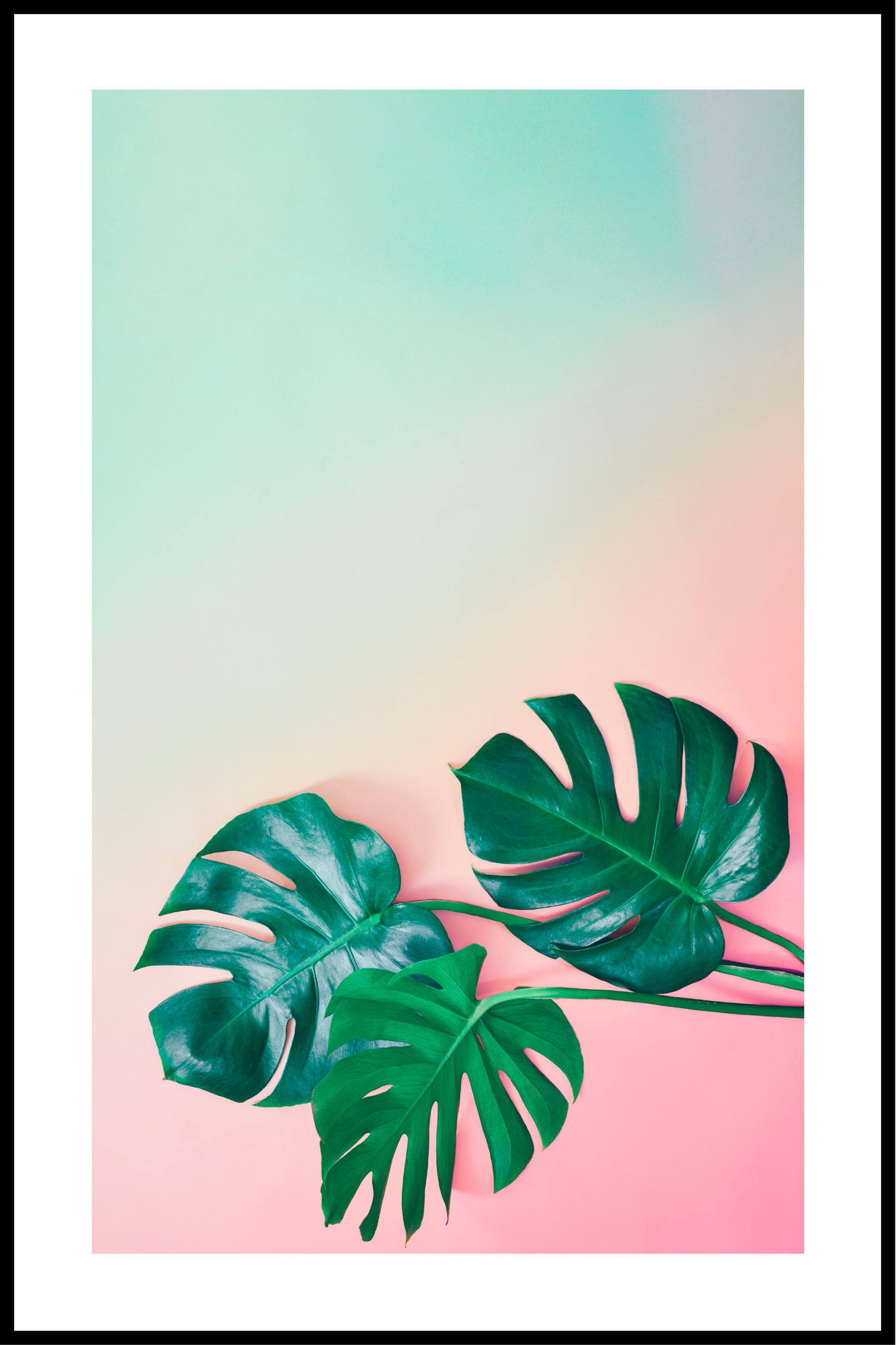 monstera plantenposter