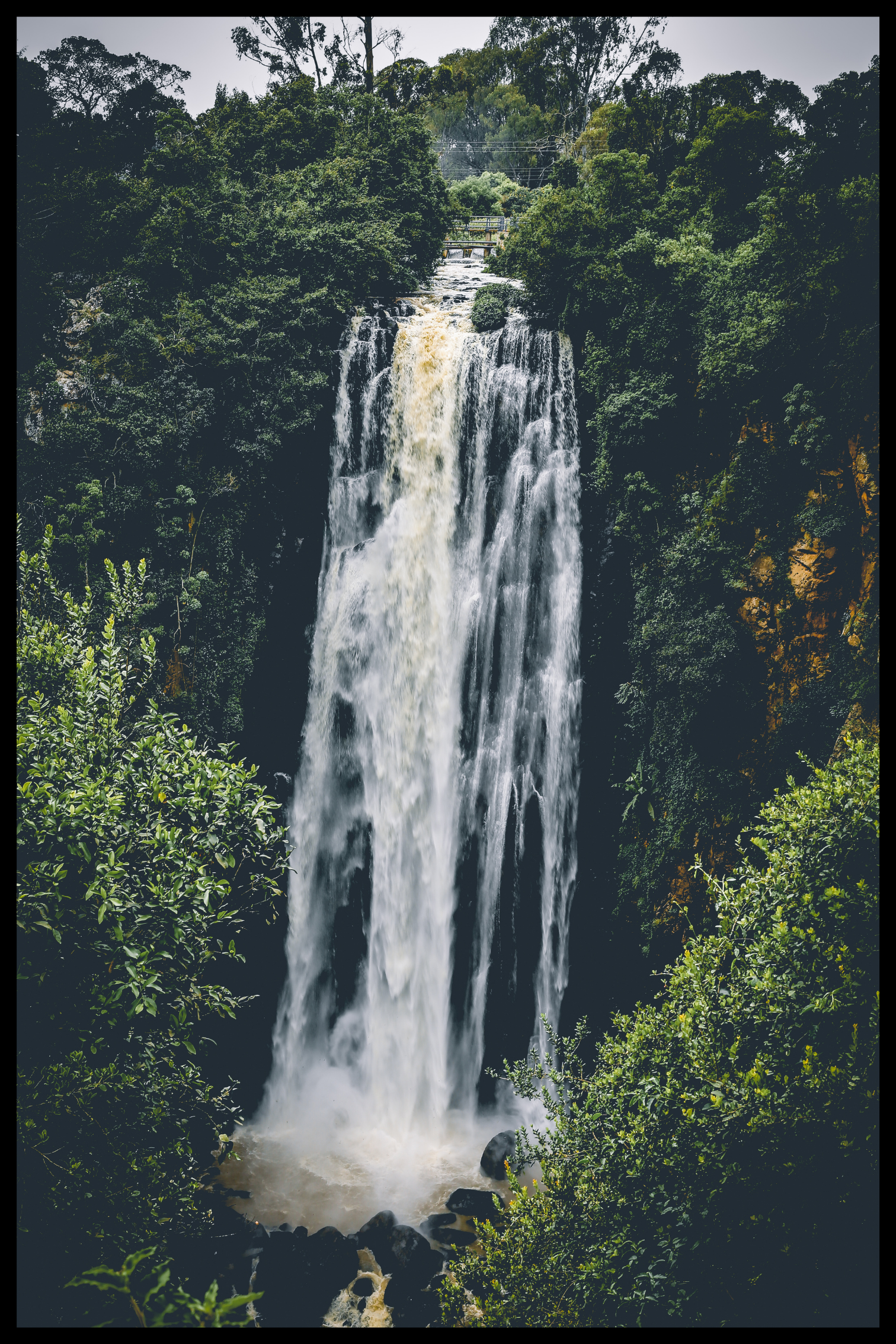 Groene waterval