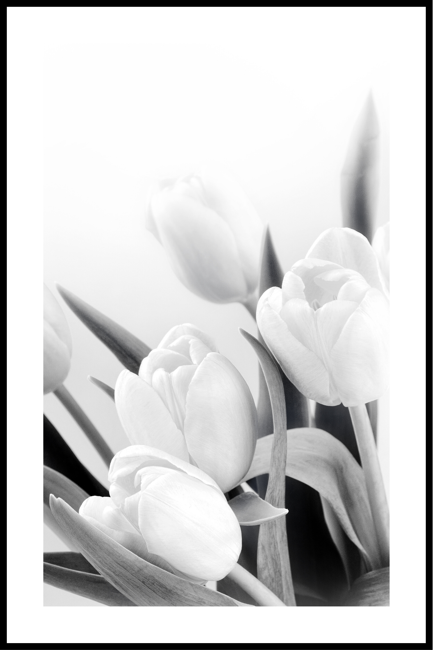 Bloemen wit en zwart poster