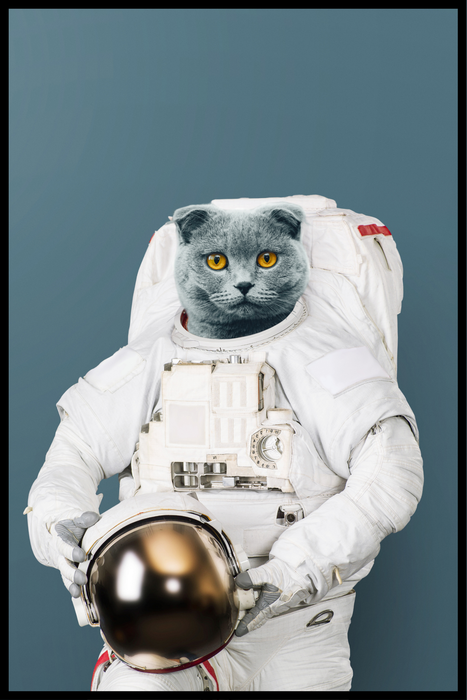 Astronaut Kat poster